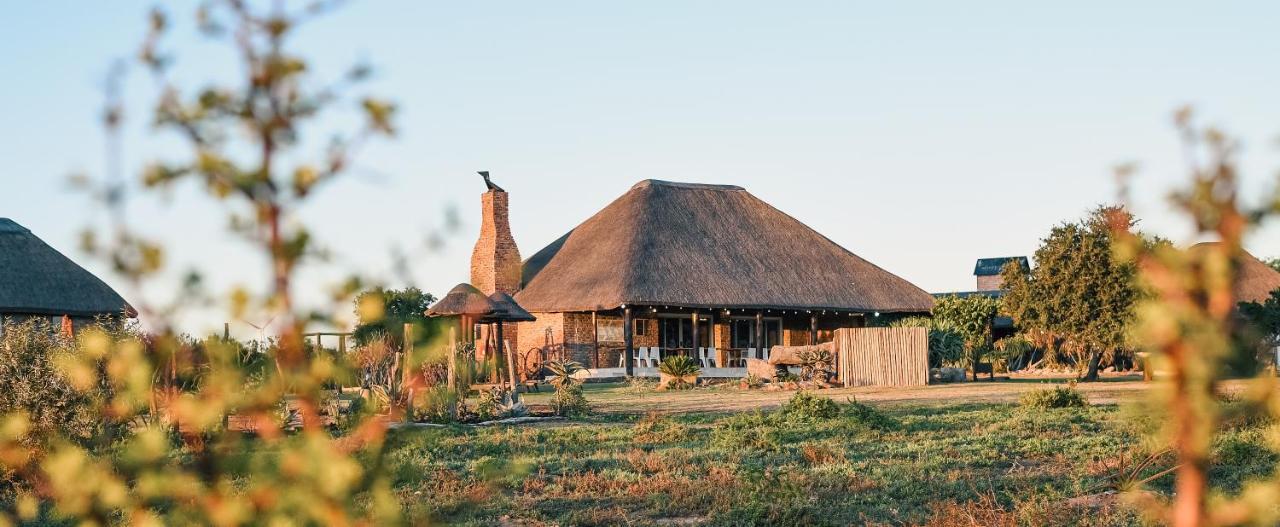 Charihandra Game Lodge Addo Exterior photo