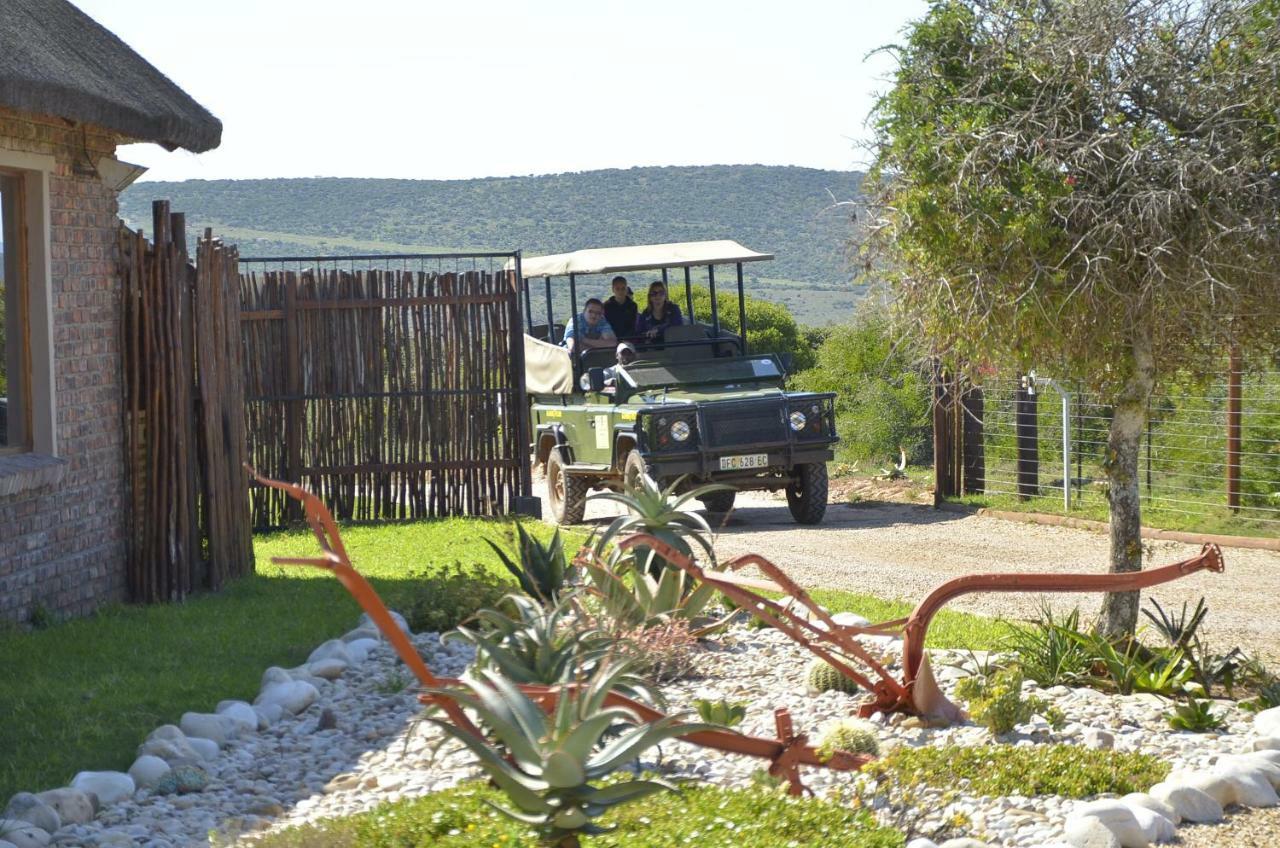 Charihandra Game Lodge Addo Exterior photo